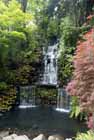 Pukekura Park, New Plymouth, New Zealand.